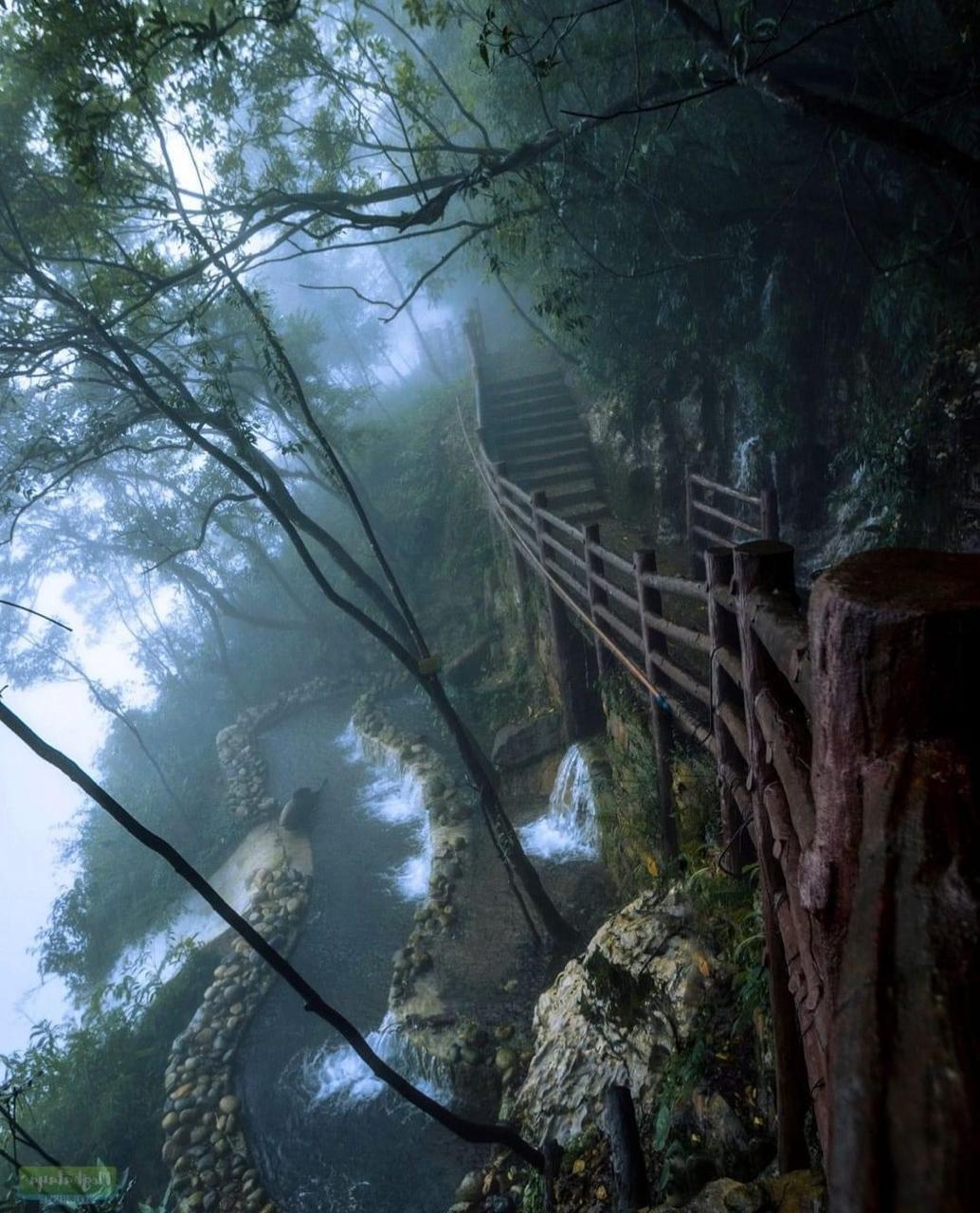Best of Meghalaya Tour