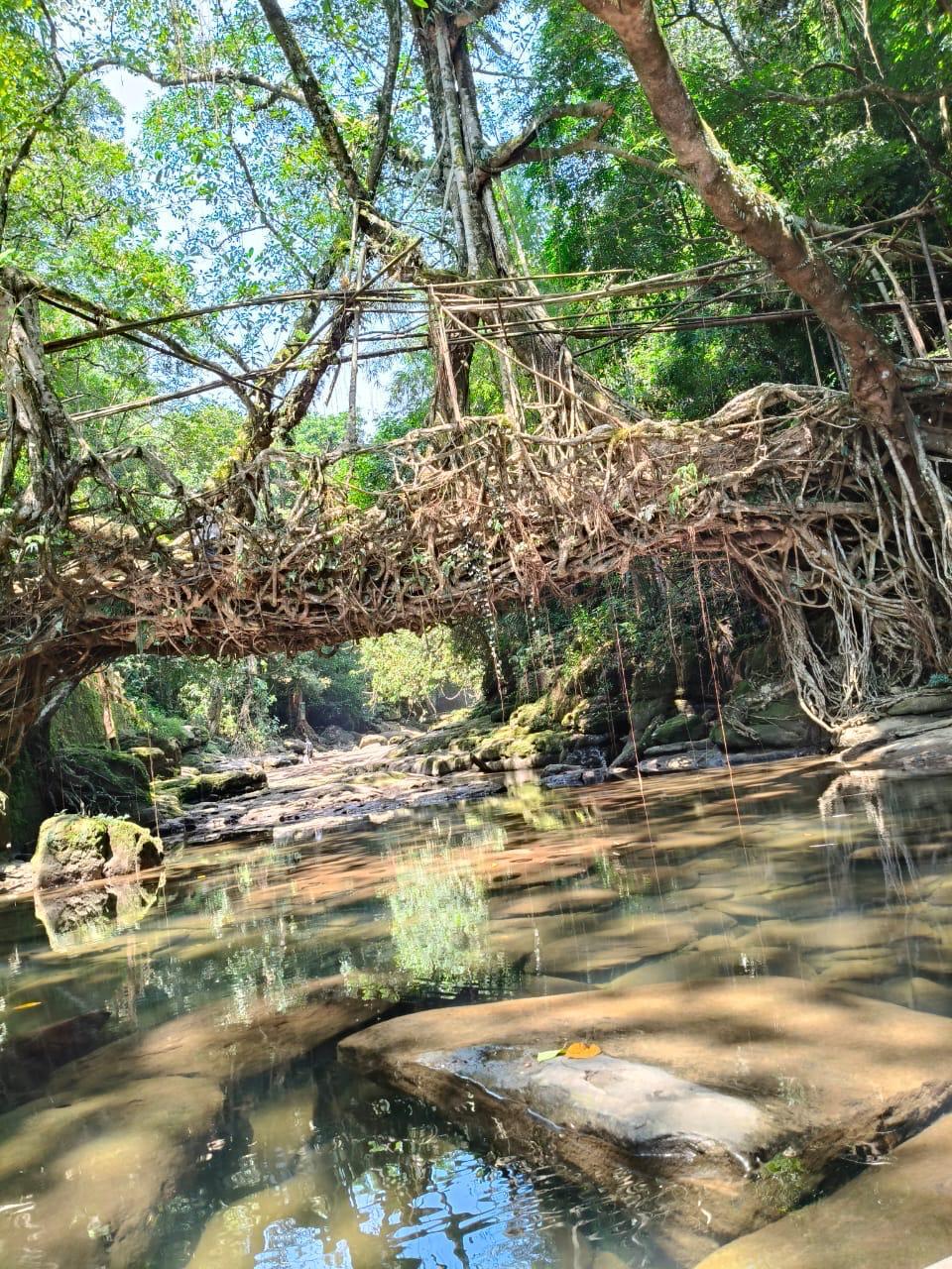 Best of Meghalaya Tour